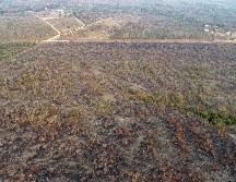 En lo que va del año ha habido una cantidad récord de incendios en Brasil: 74 mil 155. EFE/ARCHIVO