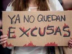 Decenas de personas protestan este viernes en Chile contra los incendios que consumen la Amazonía desde hace más de 15 días. EFE/A. Valdes