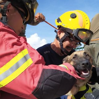 Rescatan a perro atrapado en la Barranca de Huentitán