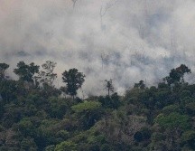 Más de la mitad de los incendios que se han desatado en Brasil en 2019 se registraron en la región amazónica del país. AFP