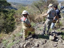 Bomberos de Tepatitlán colaboraron en la atención de este servicio. EL INFORMADOR/ARCHIVO