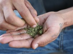 Canncura Pharma proyecta la apertura de 400 puntos de venta. ARCHIVO / EL INFORMADOR