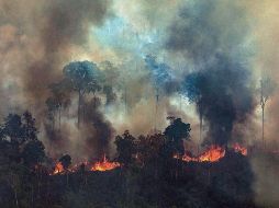 Francisco asegura que la Amazonía es un