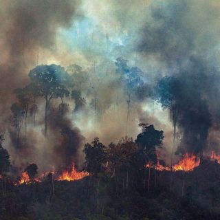 El Papa Francisco, "preocupado" por incendios en Amazonía