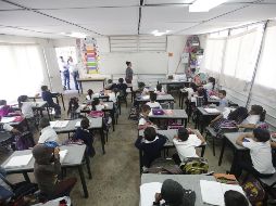 Los niños de preescolar, primero y segundo de primaria y primero de secundaria aprenderán con el nuevo modelo educativo y los libros de texto de 2017. EL INFORMADOR / ARCHIVO
