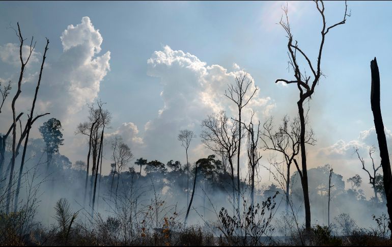 La deforestación se agravó debido a la temporada de sequía. AP/L. Correa