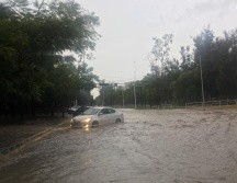 Tormenta deja encharcamientos y árboles caídos en ZMG