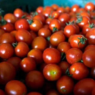 Revisiones de jitomate podrían ocurrir en bodegas, no en la frontera