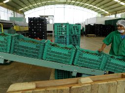 Con cifras ajustadas por estacionalidad, en julio de 2019 las exportaciones totales de mercancías mostraron un avance mensual de 1.09%. EL INFORMADOR/ ARCHIVO