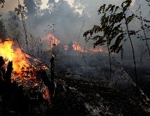 Las tensiones entre Francia y Brasil vienen incrementando desde que Macron llamó a una discusión de urgencia en la cumbre del G-7 sobre los incendios en la Amazonia. AP / ARCHIVO