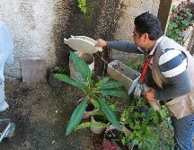Jalisco ocupa el tercer lugar nacional por número de enfermos de dengue y el sexto lugar por tasa, 14.54 por cada 100 mil habitantes. EL INFORMADOR/ ARCHIVO