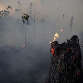 Canadá confirma que Brasil rechazó su ayuda para la Amazonía