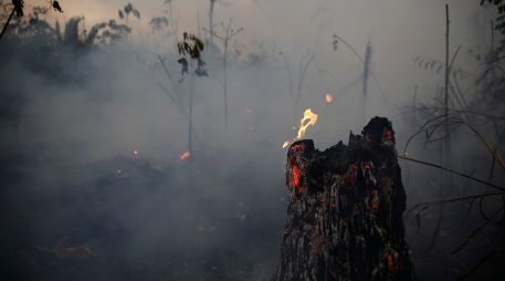 Se han registrado más de 77 mil incendios forestales en Brasil en lo que va del año, según el Instituto Nacional de Investigación Espacial. AP/ARCHIVO