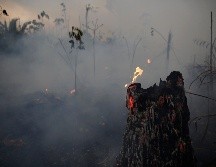 Se han registrado más de 77 mil incendios forestales en Brasil en lo que va del año, según el Instituto Nacional de Investigación Espacial. AP/ARCHIVO