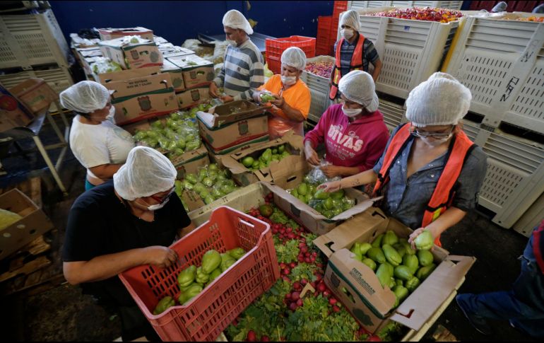 El Banco Diocesano de Alimentos podrá evitar el desperdicio al procesar fruta deshidratada, salsas y jugos. EL INFORMADOR/F. Atilano