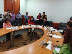 La diputada Mariana Fernández Ramírez informa que se convocan al menos 22 aspirantes, 2 por cada espacio reservado, y únicamente hay una persona interesada. EL INFORMADOR / R. Rivas