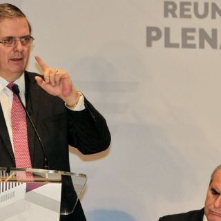 Por resolución de la OEA, México obligará a EU a combatir el racismo