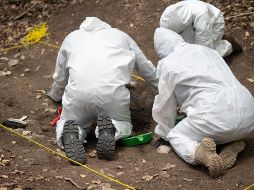 La búsqueda de restos humanos se hace a mano. MÓNICA GONZÁLEZ/PIE DE PÁGINA