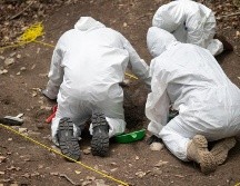 La búsqueda de restos humanos se hace a mano. MÓNICA GONZÁLEZ/PIE DE PÁGINA