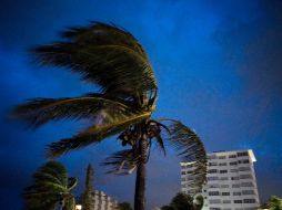 Los vientos del huracán comienzan a impactar en Freeport, Grand Bahama. AP/R. Espinosa