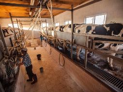 El Programa de las Naciones Unidas para el Desarrollo en México ha puesto énfasis en esta actividad económica como emisora de gases contaminantes. ARCHIVO / EL INFORMADOR