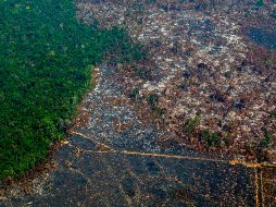 Los numerosos incendios forestales hace unos meses en la Amazonía brasileña provocaron críticas contra el presidente Jair Bolsonaro. AFP/ARCHIVO