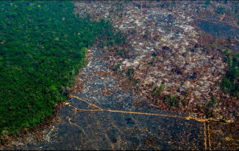 Los focos de incendio en la Amazonía brasileña durante agosto pasado llegaron a 30 mil 901. AFP/ARCHIVO