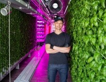 Tobias Peggs dice que esta industria incipiente aún está tratando de encontrar el mejor modelo de negocio. Square Roots