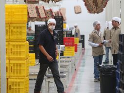 Solamente en el mes de julio, el monto total de exportaciones alcanzó los 30 mil millones de dólares. EL INFORMADOR/ARCHIVO