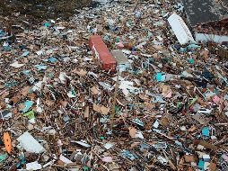 Fotogalería: La desolación en islas de Bahamas tras "Dorian"