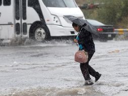 Entre las zonas donde se registró con mayor intensidad fueron Plaza del Sol, La Cima, Complejo habitacional UAG, Tecnológico de Zapopan, Los Molinos, Technology Park, Las Cañadas, Santa Lucía y El Fortín. EL INFORMADOR/ ARCHIVO