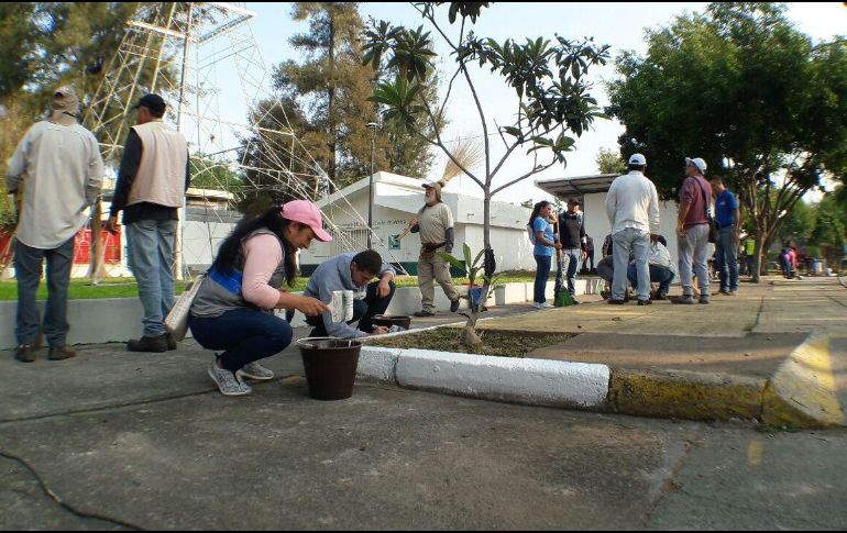 Fueron 80 los vecinos que se vieron junto con alrededor de cien trabajadores del ayuntamiento tapatío para rehabilitar las áreas. TWITTER / @GuadalajaraGob