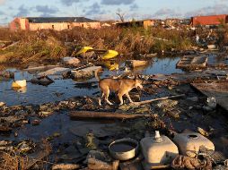 Más de una semana después de haber sido devastada por el huracán 