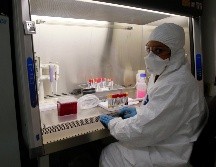 El secretario de salud de Jalisco, Fernando Petersen, comentó que los casos de dengue en la entidad han crecido entre 350% y 400%. EL INFORMADOR/ ARCHIVO