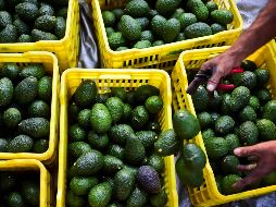 La baja en el precio del aguacate contribuyó a la caída en el indicador. AFP/ARCHIVO