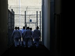 Ocho personas bajo custodia del ICE han muerto en el presente año fiscal, que comenzó en octubre de 2018. Dos de ellos eran mexicanos. AP/T. Warren