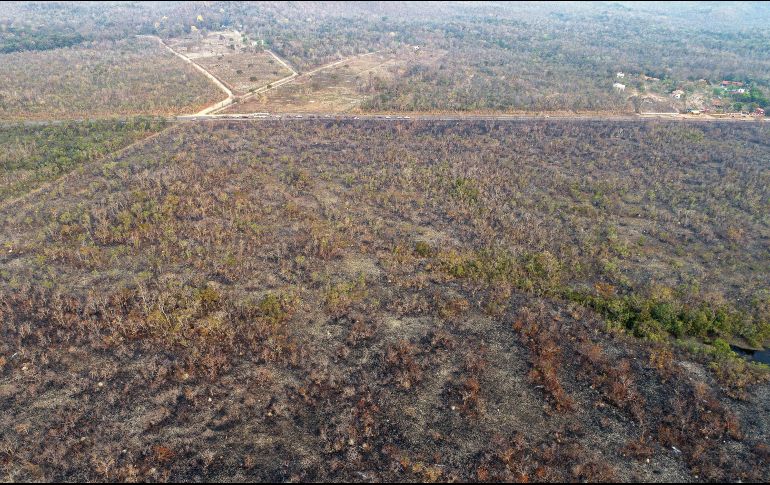Un área en el estado de Mato Grosso afectada por un incendio forestal el mes pasado. EFE/ARCHIVO