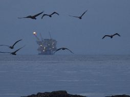 El crecimiento contemplado en el Paquete Económico 2020 también depende de que Pemex alcance la producción estimada y de que los precios del petróleo se estabilicen. AFP/Archivo