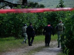 Según informó el instituto, ya fue abierta la totalidad de las bolsas y de ellas aún quedan por analizar y registrar otras 194 piezas, de las cuales aún se desconoce si podrán completarse más cuerpos. EL INFORMADOR/ ARCHIVO