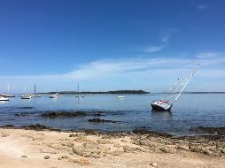 Puerto Punta Del Este. Una belleza sublime.  CORTESÍA