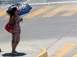Especialistas explicaron que un factor a considerar en el clima del país durante este año han sido las bajas precipitaciones. EL INFORMADOR/ARCHIVO
