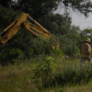 Rector de la UdeG pide coordinación de autoridades ante hallazgos de fosas