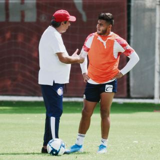 Todo bajo control en el rebaño
