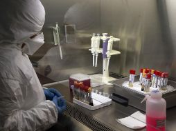 Un reporte destacó que Veracruz es la única entidad con los cuatro tipos de dengue circulantes. EL INFORMADOR / ARCHIVO