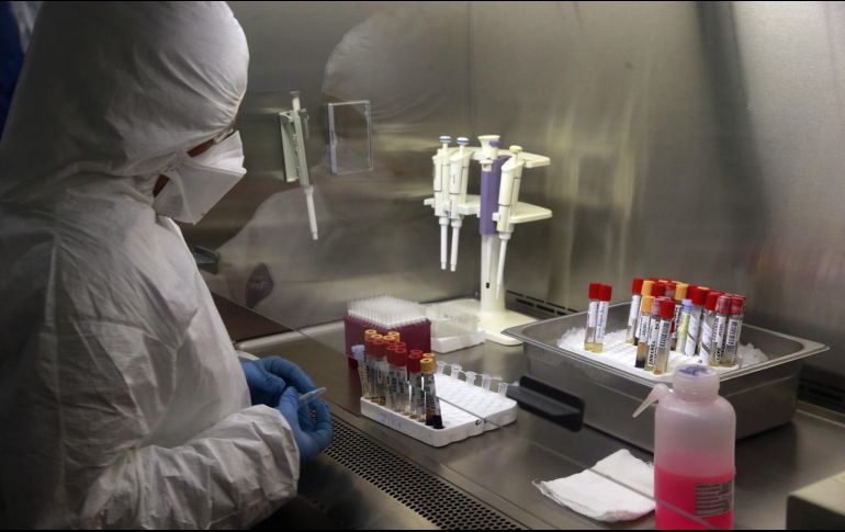 Un reporte destacó que Veracruz es la única entidad con los cuatro tipos de dengue circulantes. EL INFORMADOR / ARCHIVO