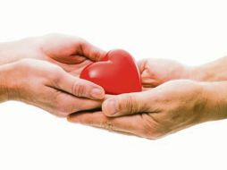 «Quiero, pues, que los hombres, libres de odios y divisiones, hagan oración dondequiera que se encuentren, levantando al cielo sus manos puras». ESPECIAL