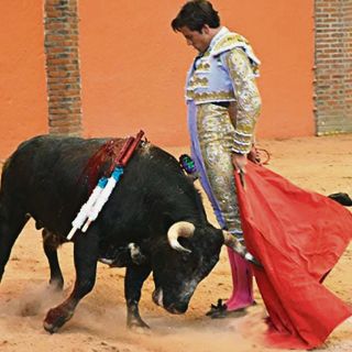 Todo listo para la tercera novillada en la plaza Nuevo Progreso