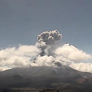 Popocatépetl emite 219 exhalaciones en últimas 24 horas