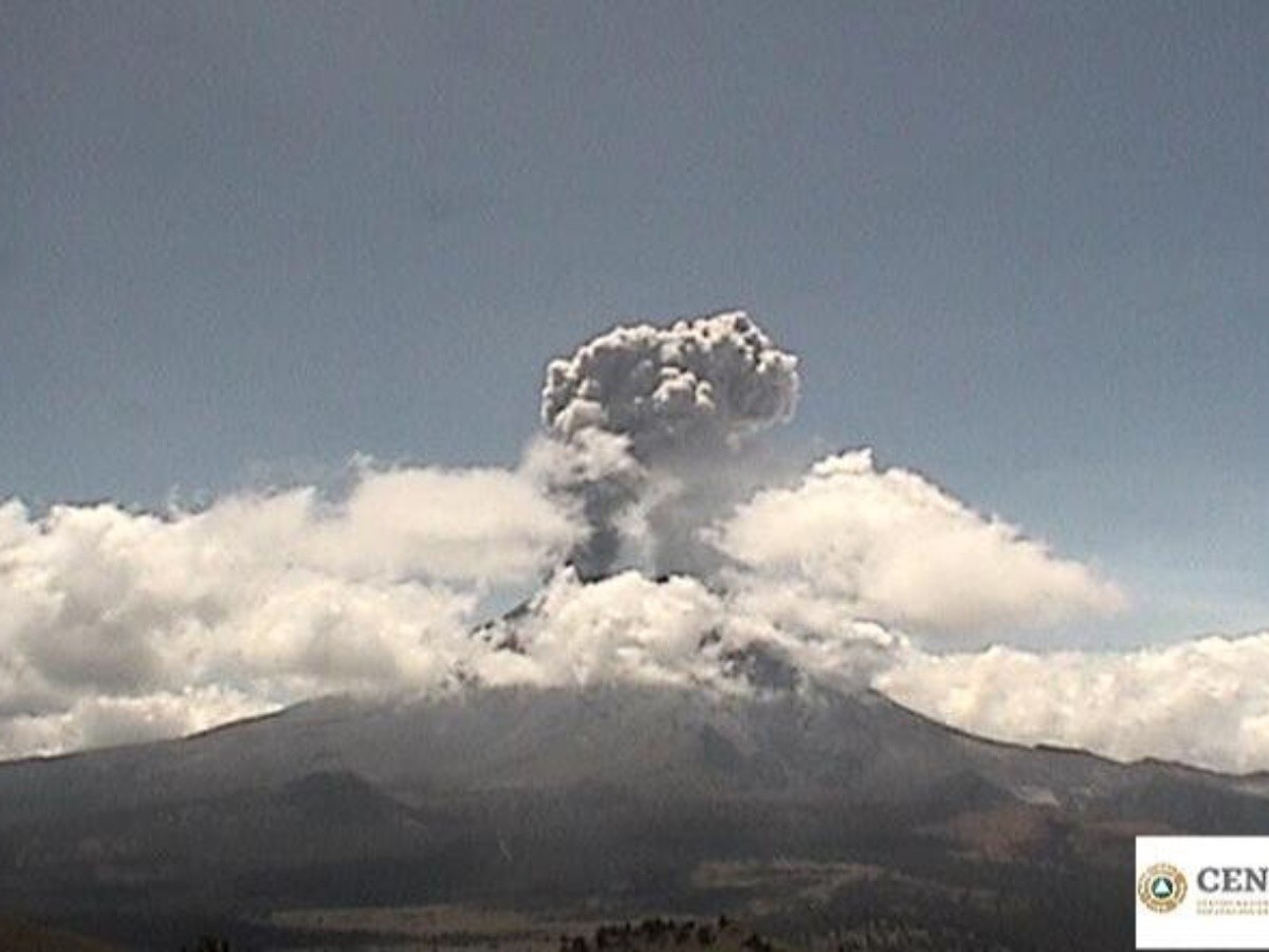  Popocatépetl emite 219 exhalaciones en últimas 24 horas