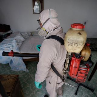 ¿Qué hacer y cómo ubicar los síntomas del dengue?